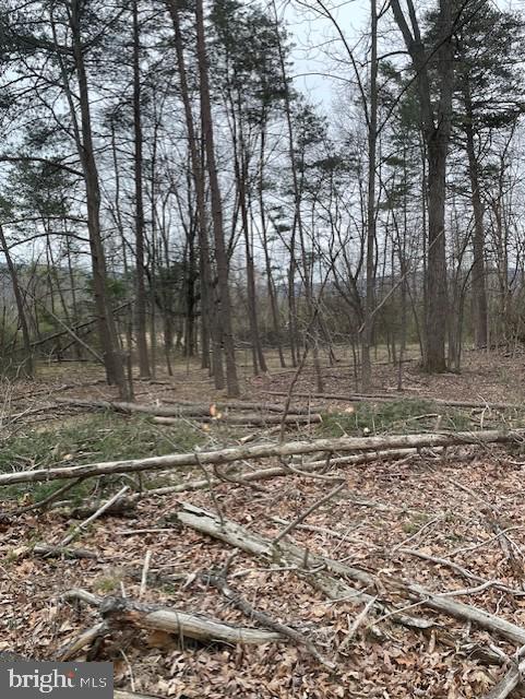 0 Punch Bowl Road Property Photo 1