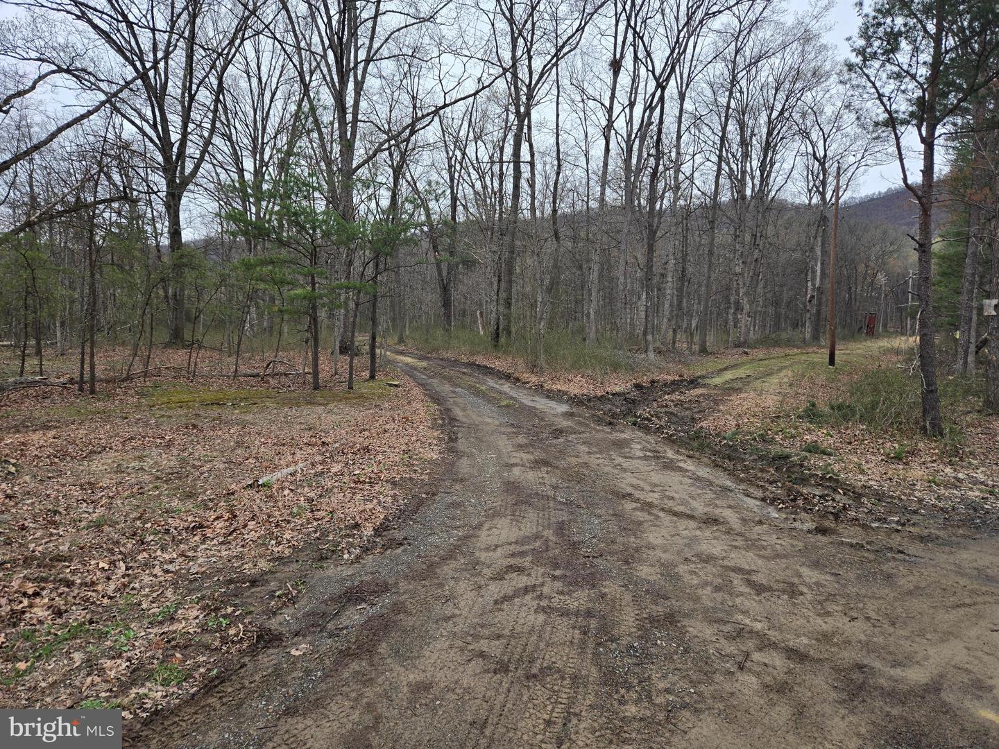 0 Punch Bowl Road Property Photo 2