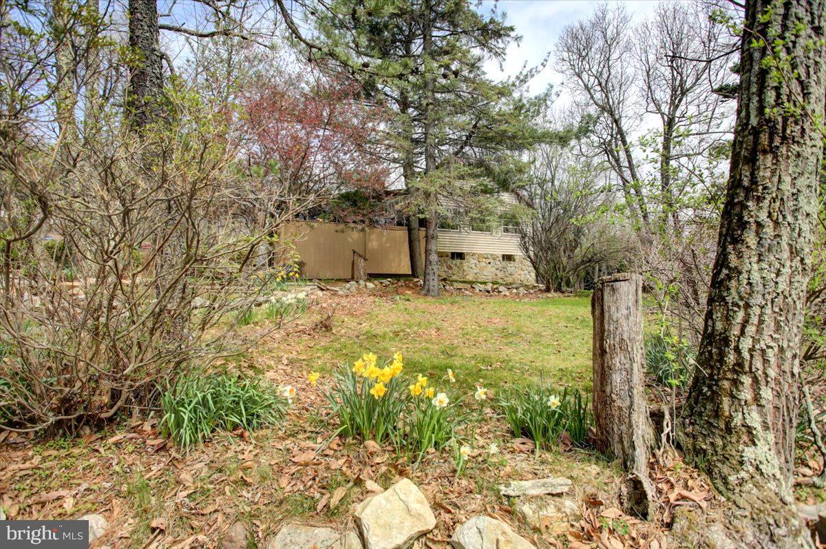 17224 Real Estate Listings Main Image