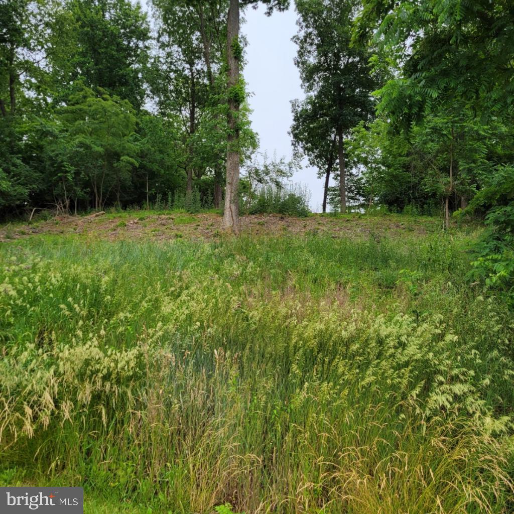 10952 PARTRIDGE DRIVE Property Photo 1