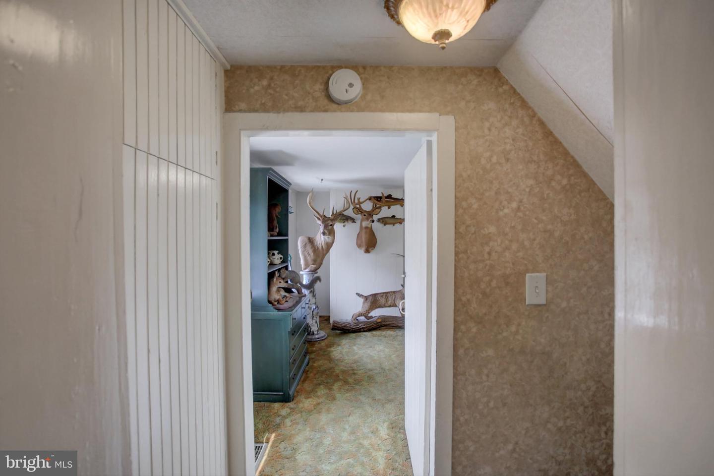 8029 Molly Pitcher Highway Property Photo 39