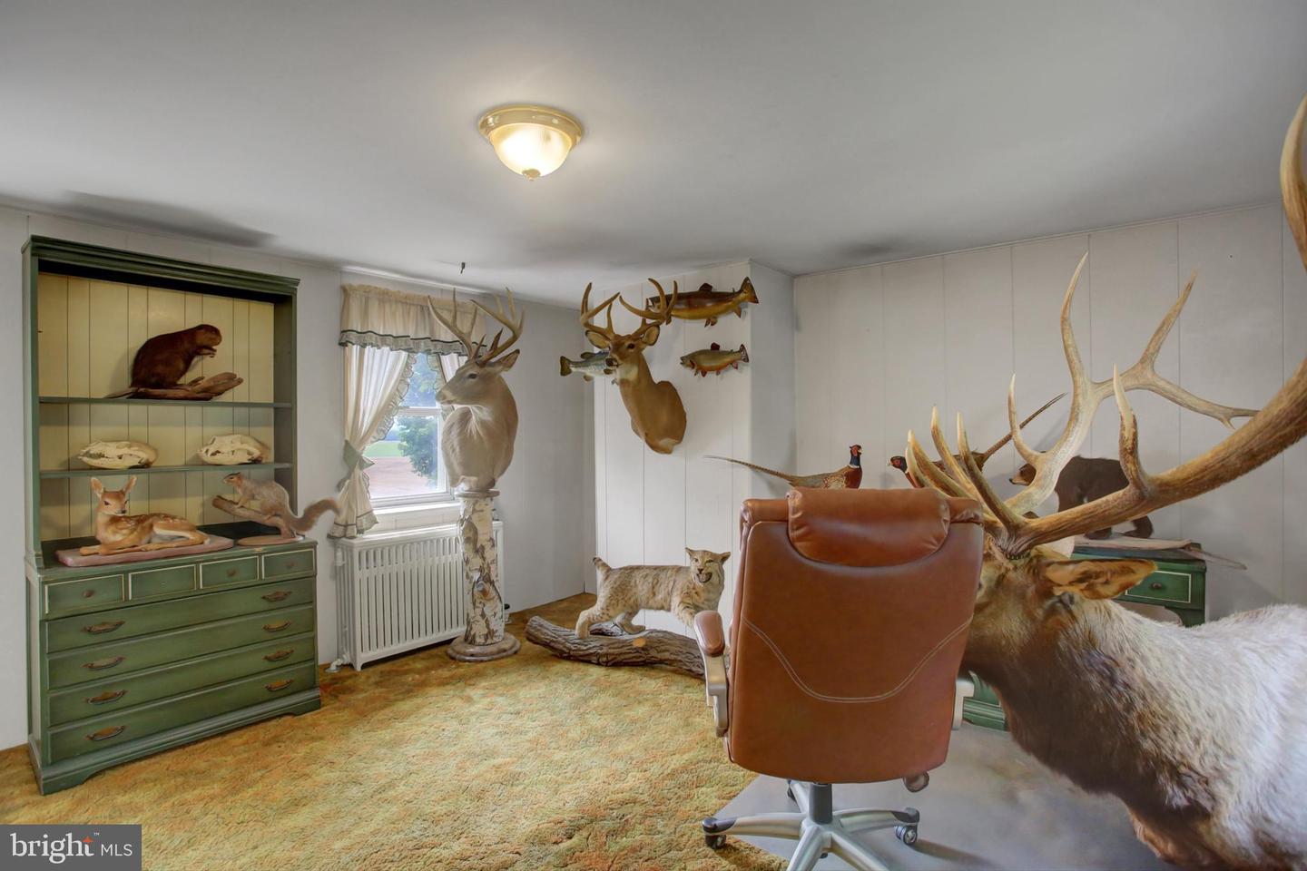 8029 Molly Pitcher Highway Property Photo 41