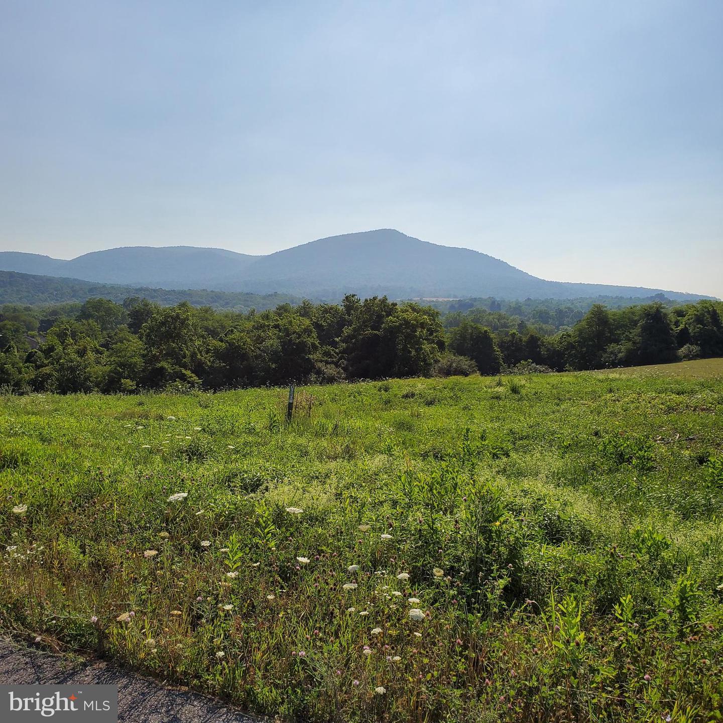 LOT 17 SUNRISE LN Property Photo 1
