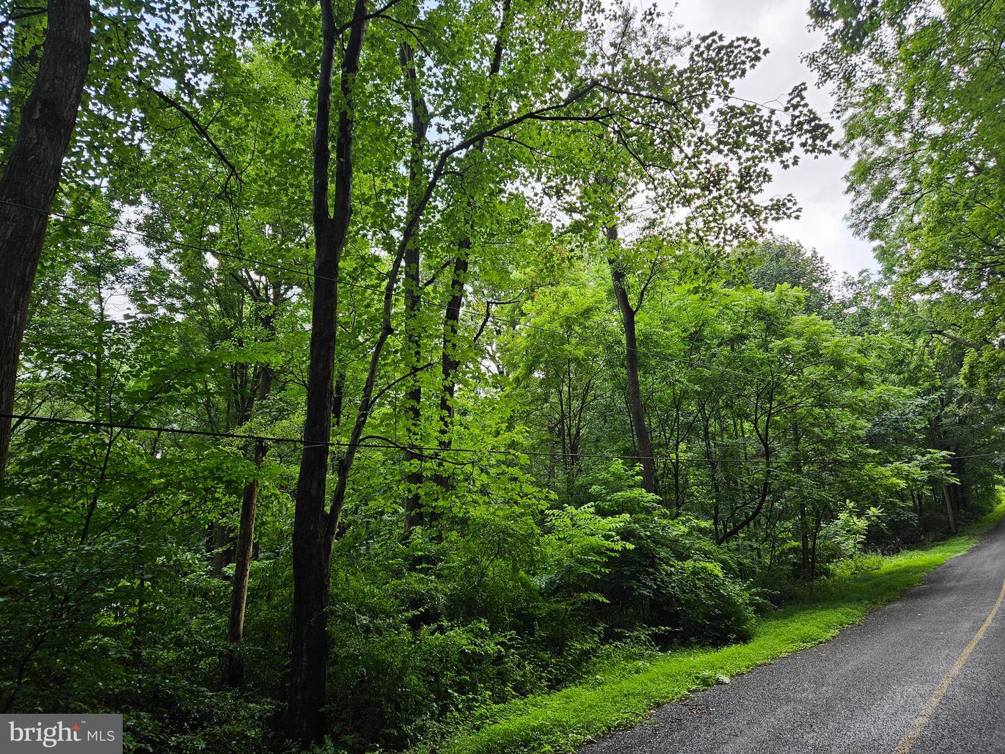 Lot 2 Sweetwater Rd Property Photo 1