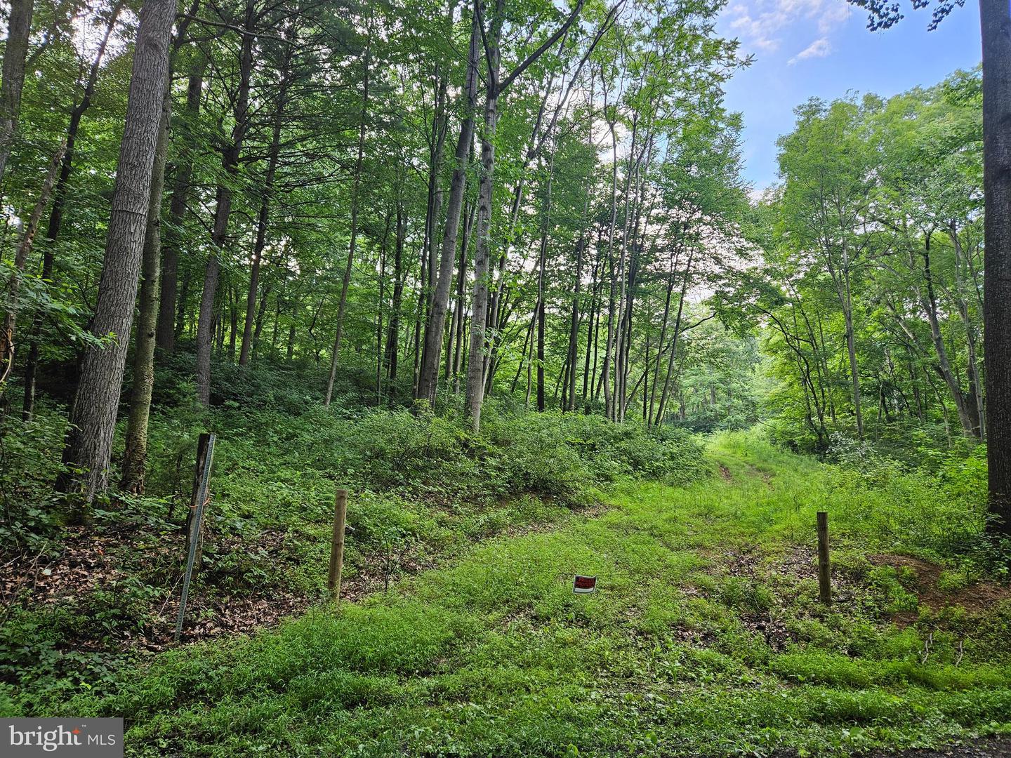 Lot 1 Sweetwater Rd Property Photo 1
