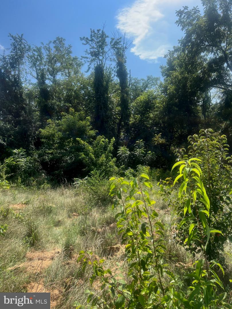 0 Mahantango Drive Property Photo 2