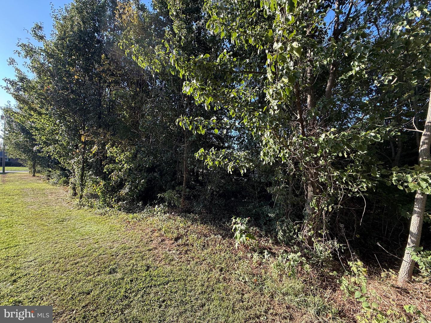 0 Molly Pitcher Highway Property Photo 4