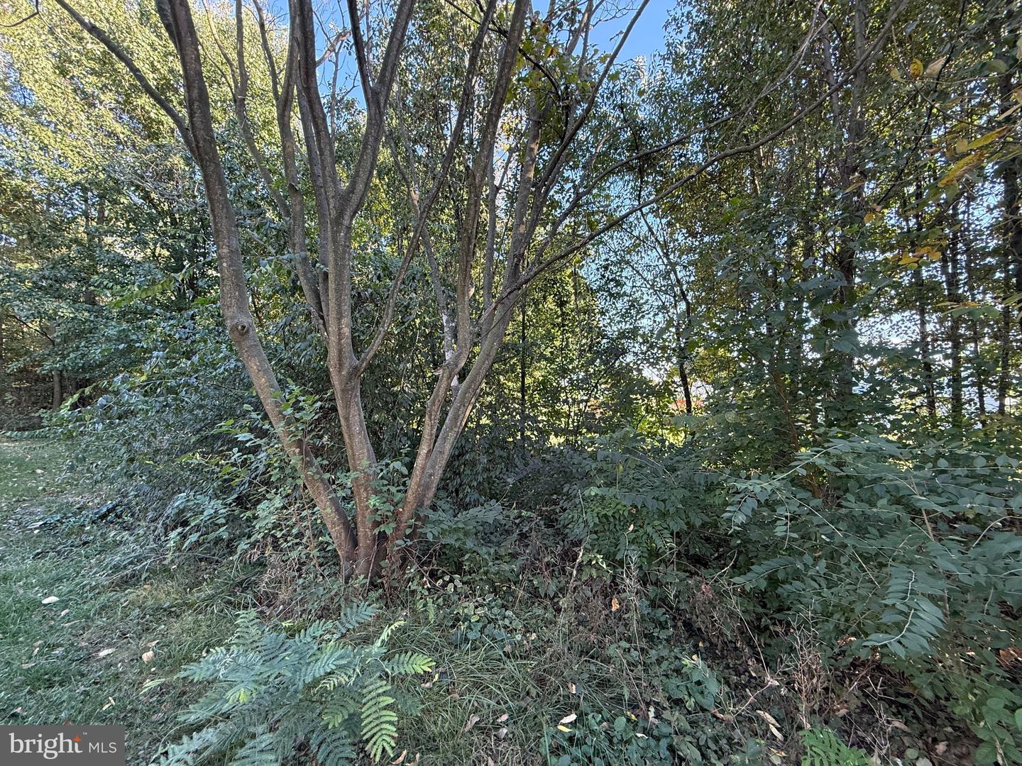 0 Molly Pitcher Highway Property Photo 5
