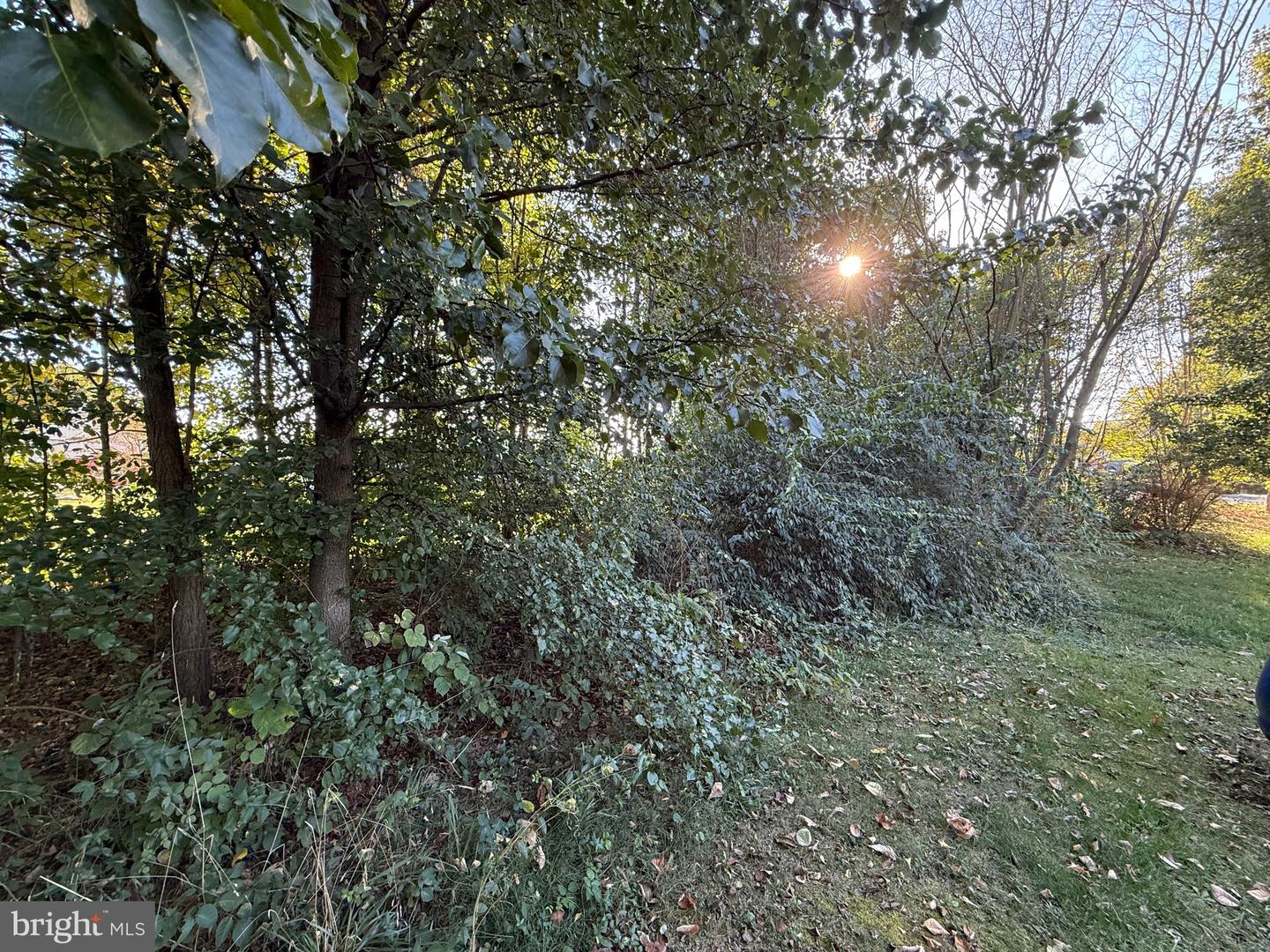 0 Molly Pitcher Highway Property Photo 6