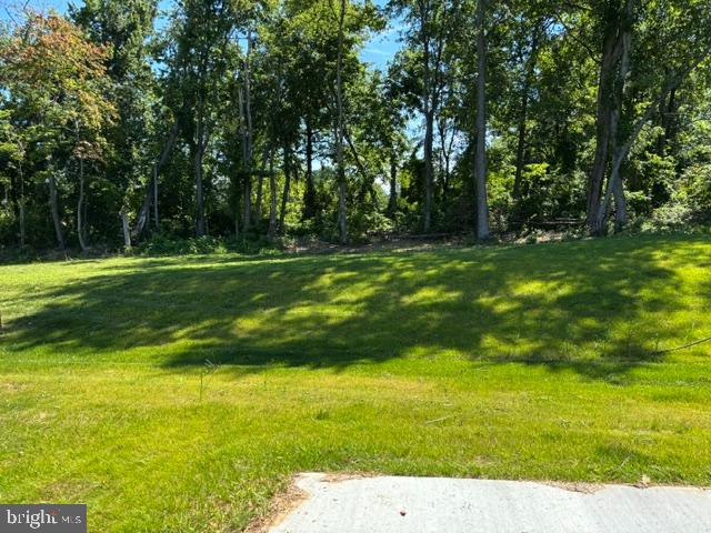 212 Grace Ann Ct Property Photo 5