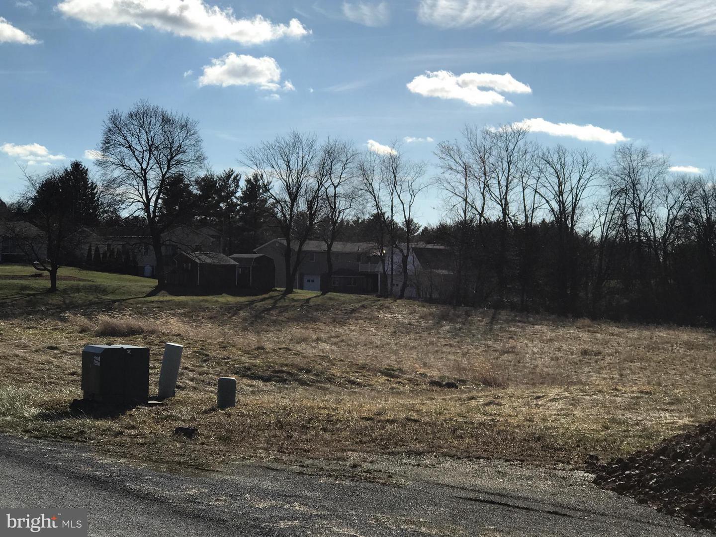 199 BUCKINGHAM Property Photo 1