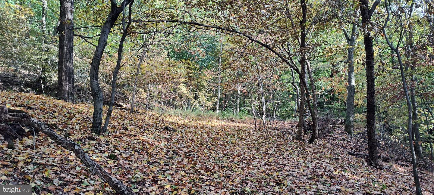 22000 Horse Valley Rd Property Photo 6