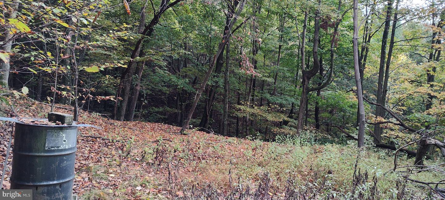 22000 Horse Valley Rd Property Photo 7