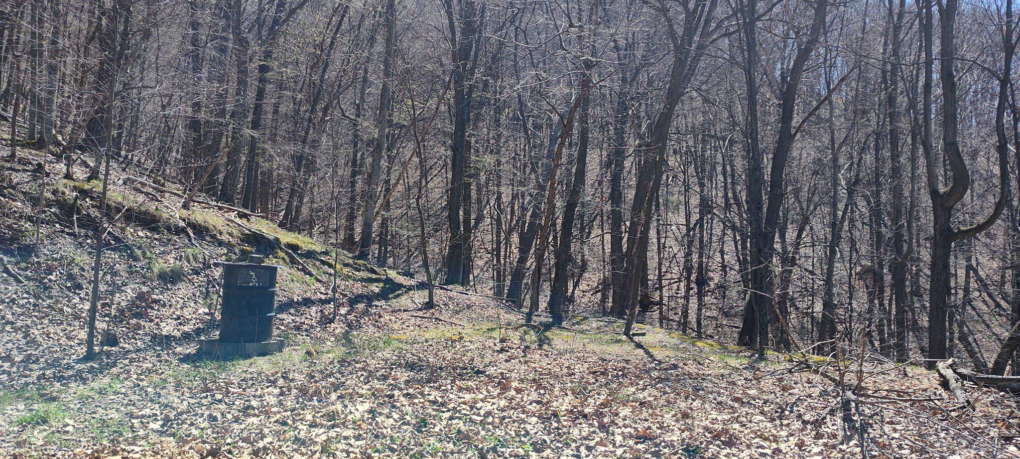 22000 Horse Valley Rd Property Photo 8