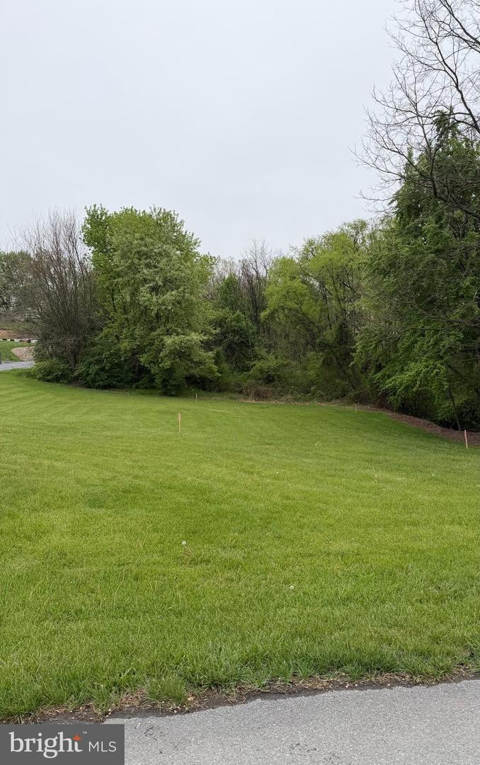 Lot 29 Majestic Dr Property Photo 2