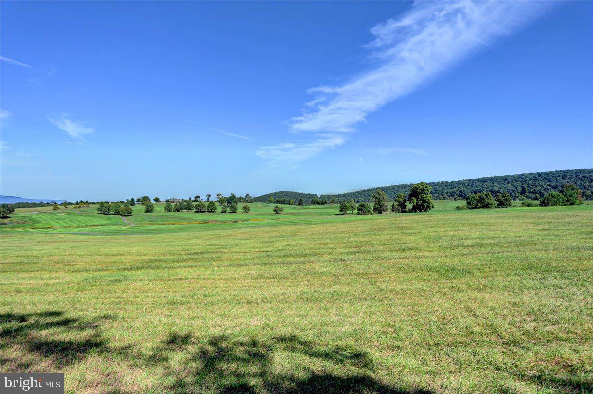 10912 Deerwood Drive Property Photo 47