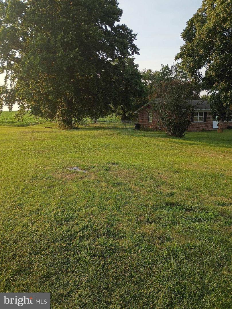 3589 Guilford Springs Road Property Photo 8