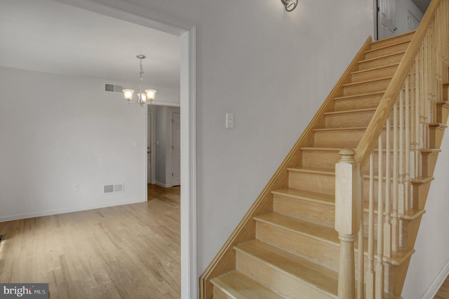 10305 Candura Dr Property Photo 8