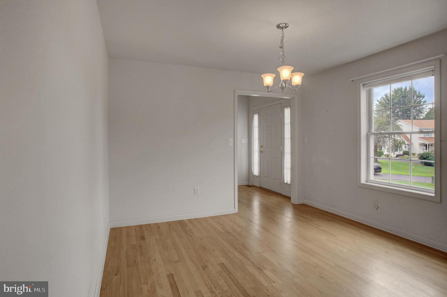 10305 Candura Dr Property Photo 23