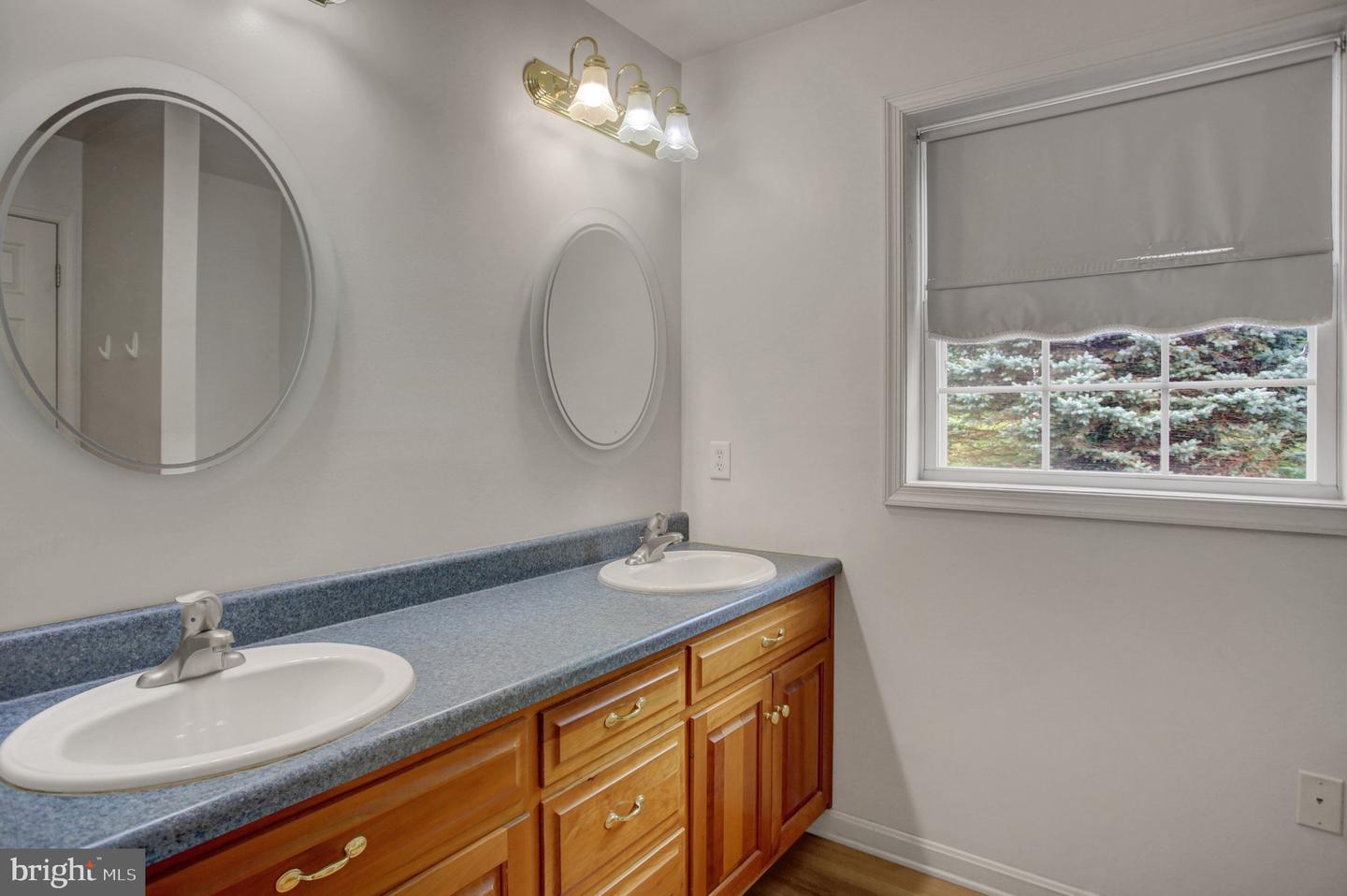 10305 Candura Dr Property Photo 32