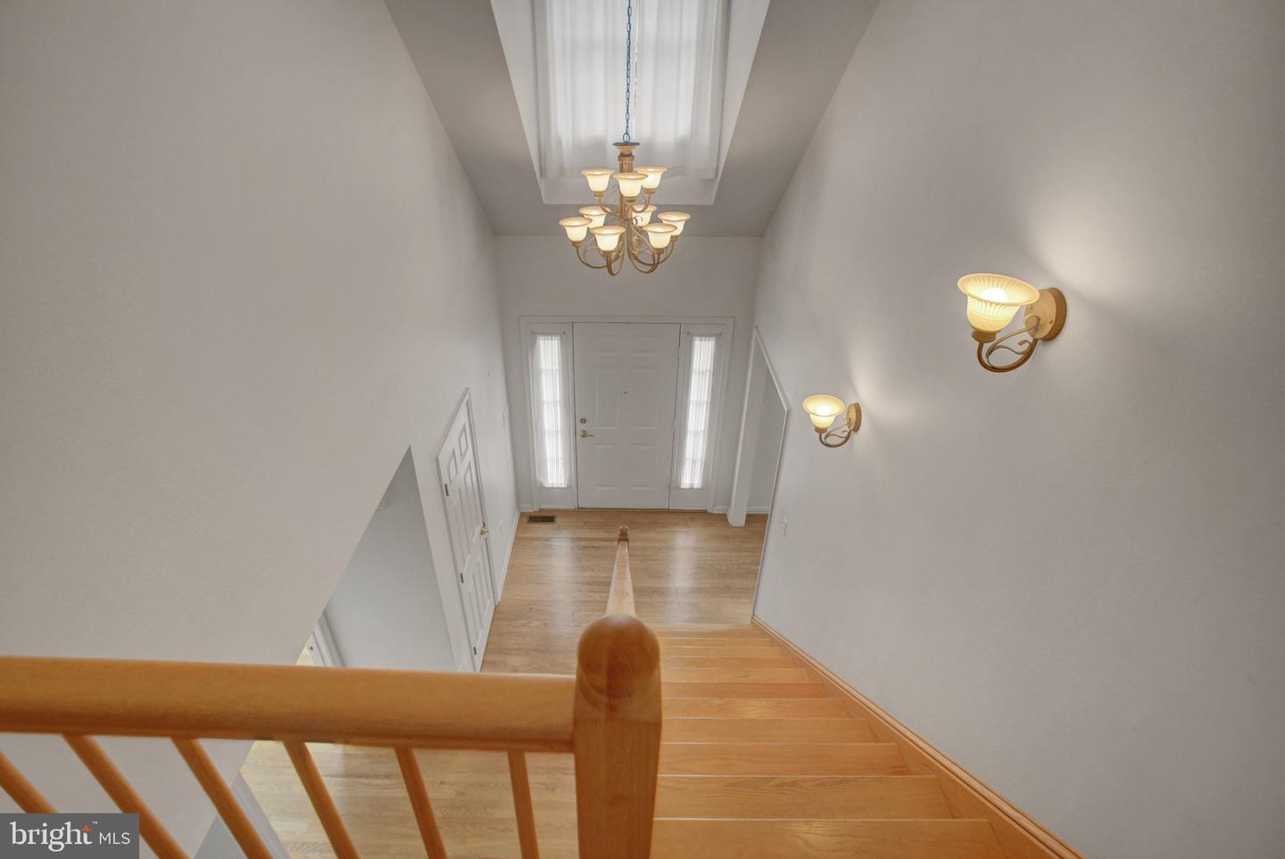10305 Candura Dr Property Photo 39