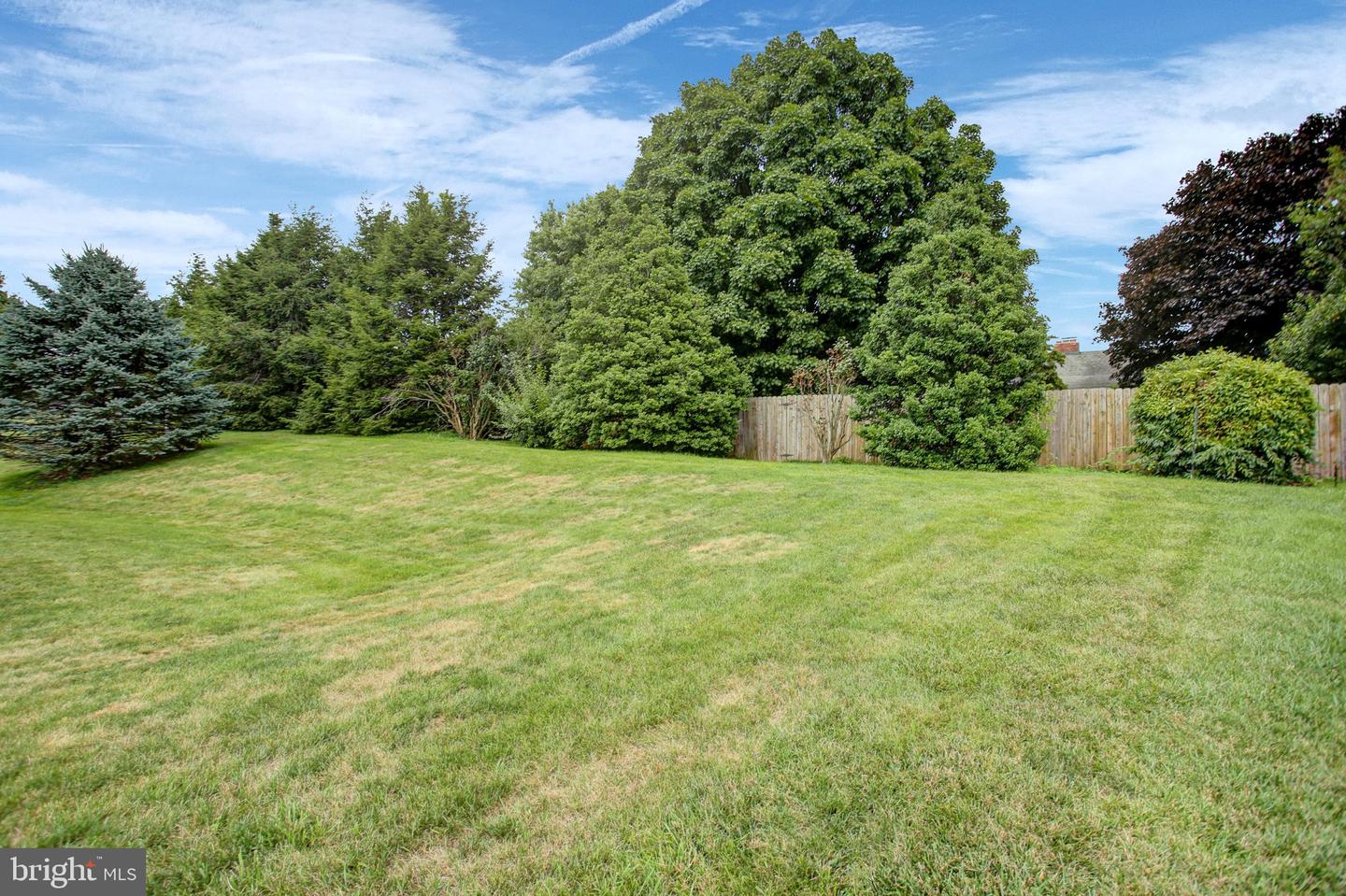 10305 Candura Dr Property Photo 52