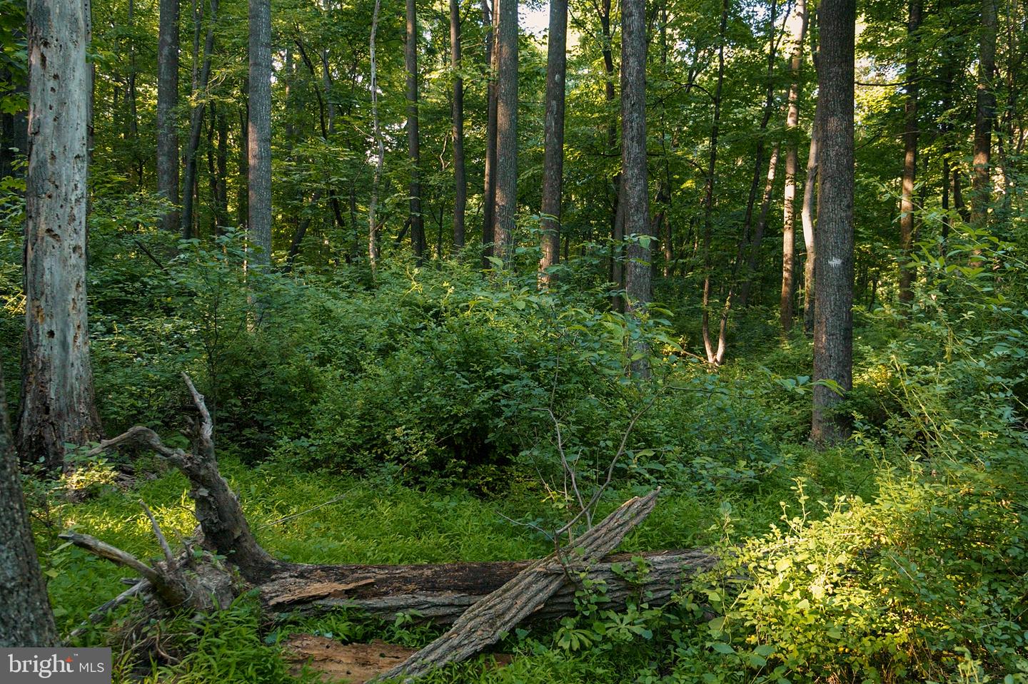 0 Appleway Property Photo 1