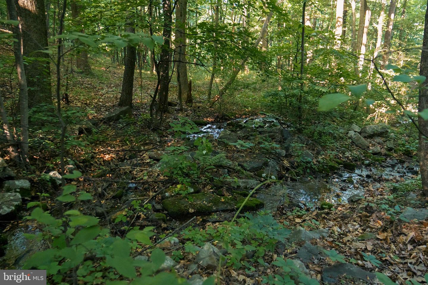 0 Appleway Property Photo 3