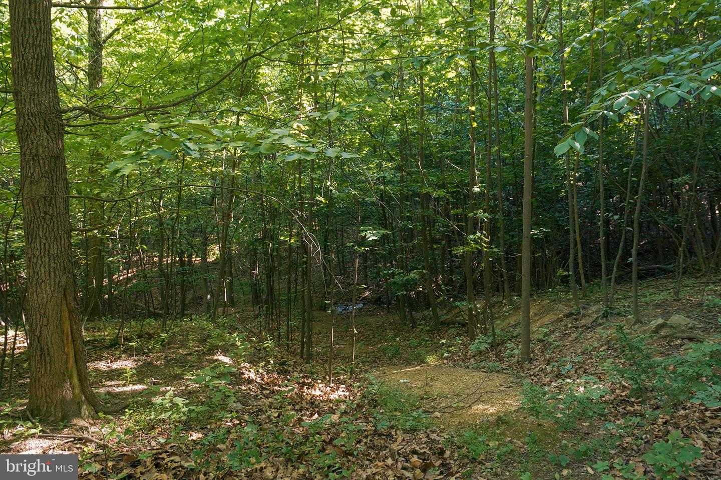 0 Appleway Property Photo 4