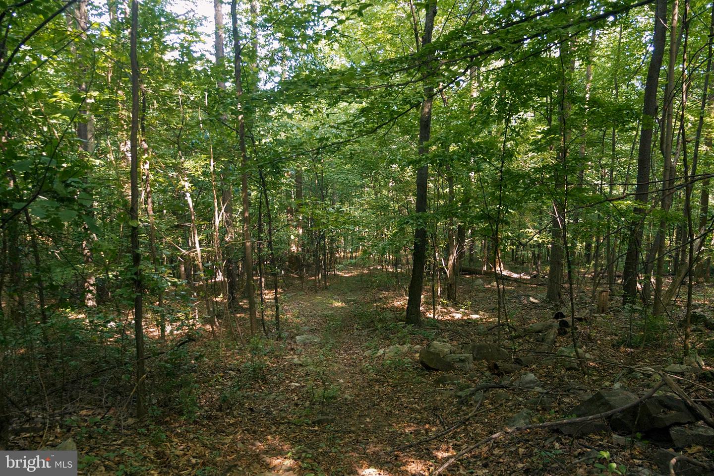 0 Appleway Property Photo 5