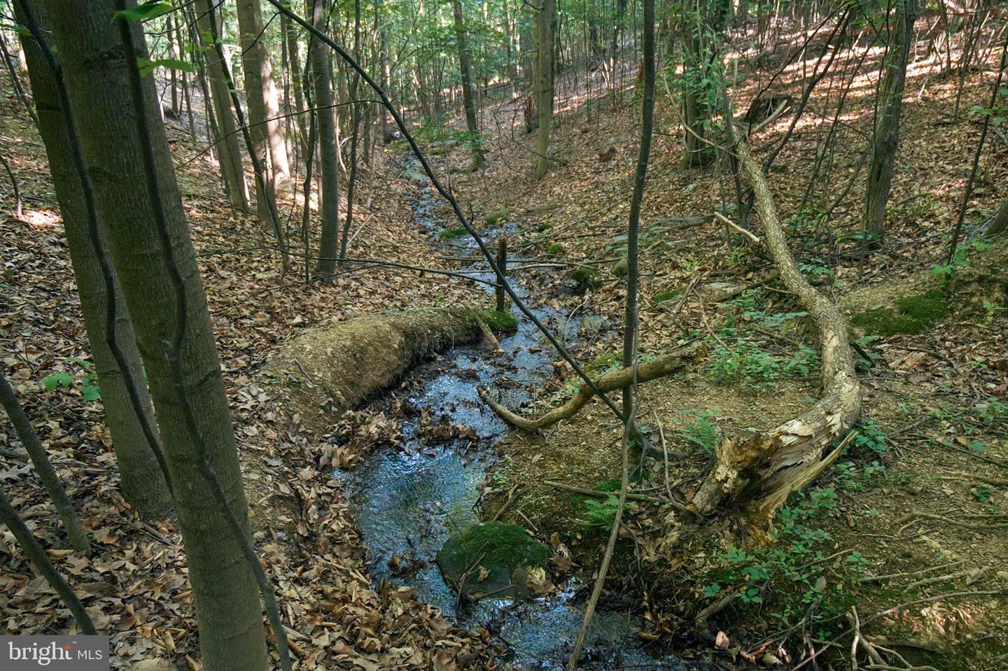0 Appleway Property Photo 6