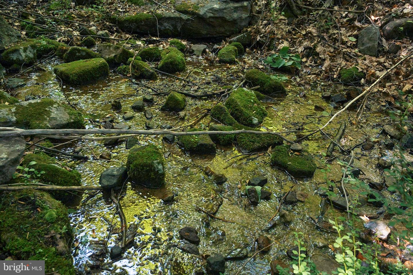 0 Appleway Property Photo 7