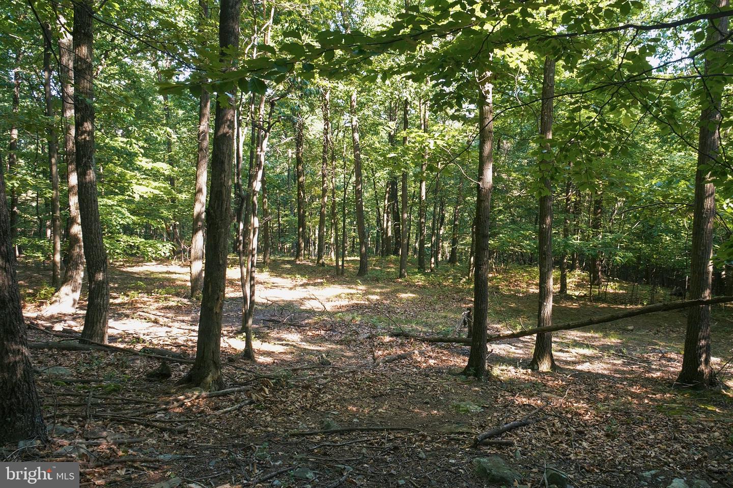 0 Appleway Property Photo 8