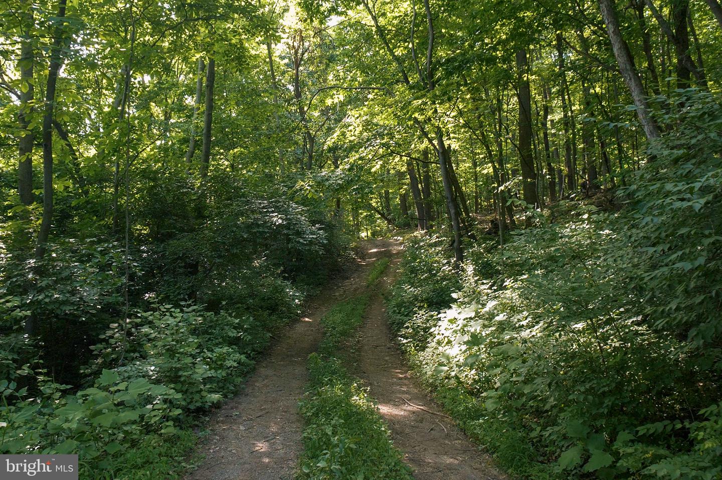 0 Appleway Property Photo 10