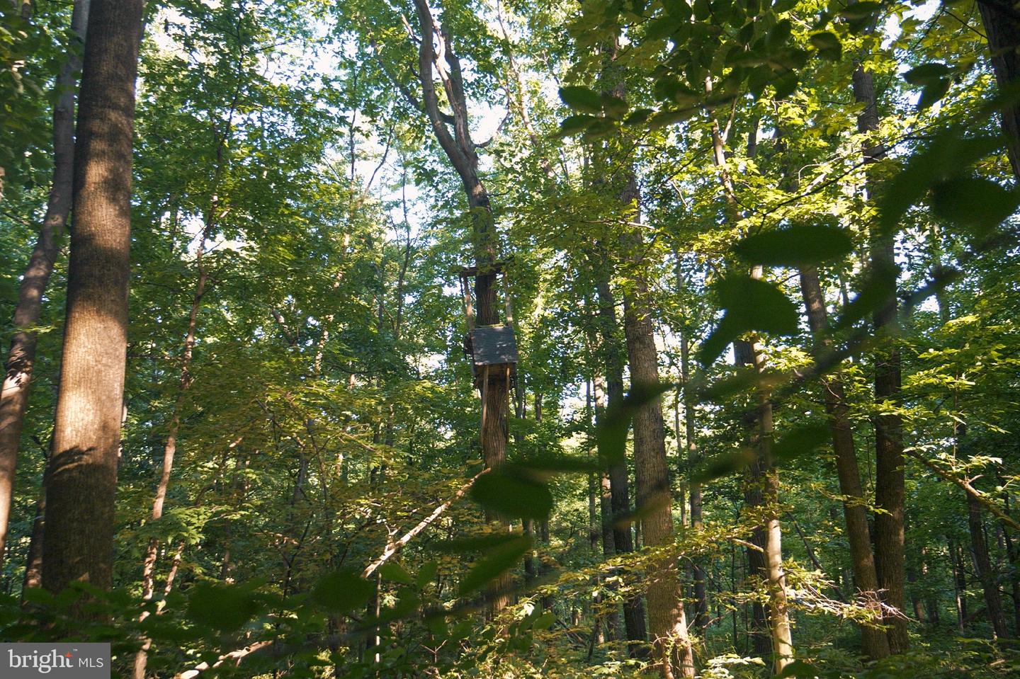 0 Appleway Property Photo 13