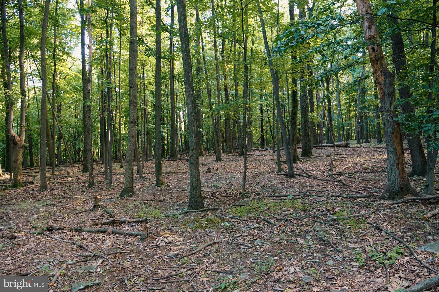 0 Appleway Property Photo 14