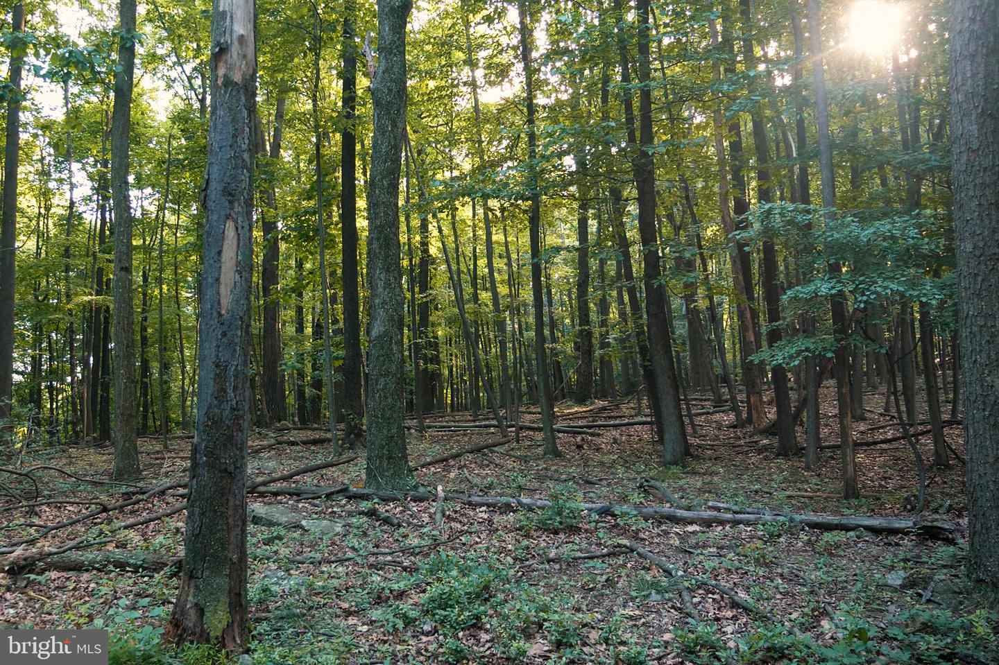 0 Appleway Property Photo 27