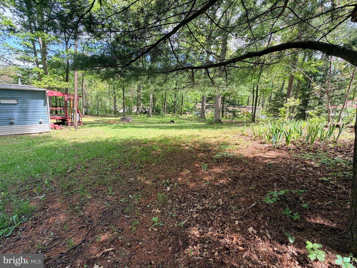 3372 Dogwood Dr Property Photo 15