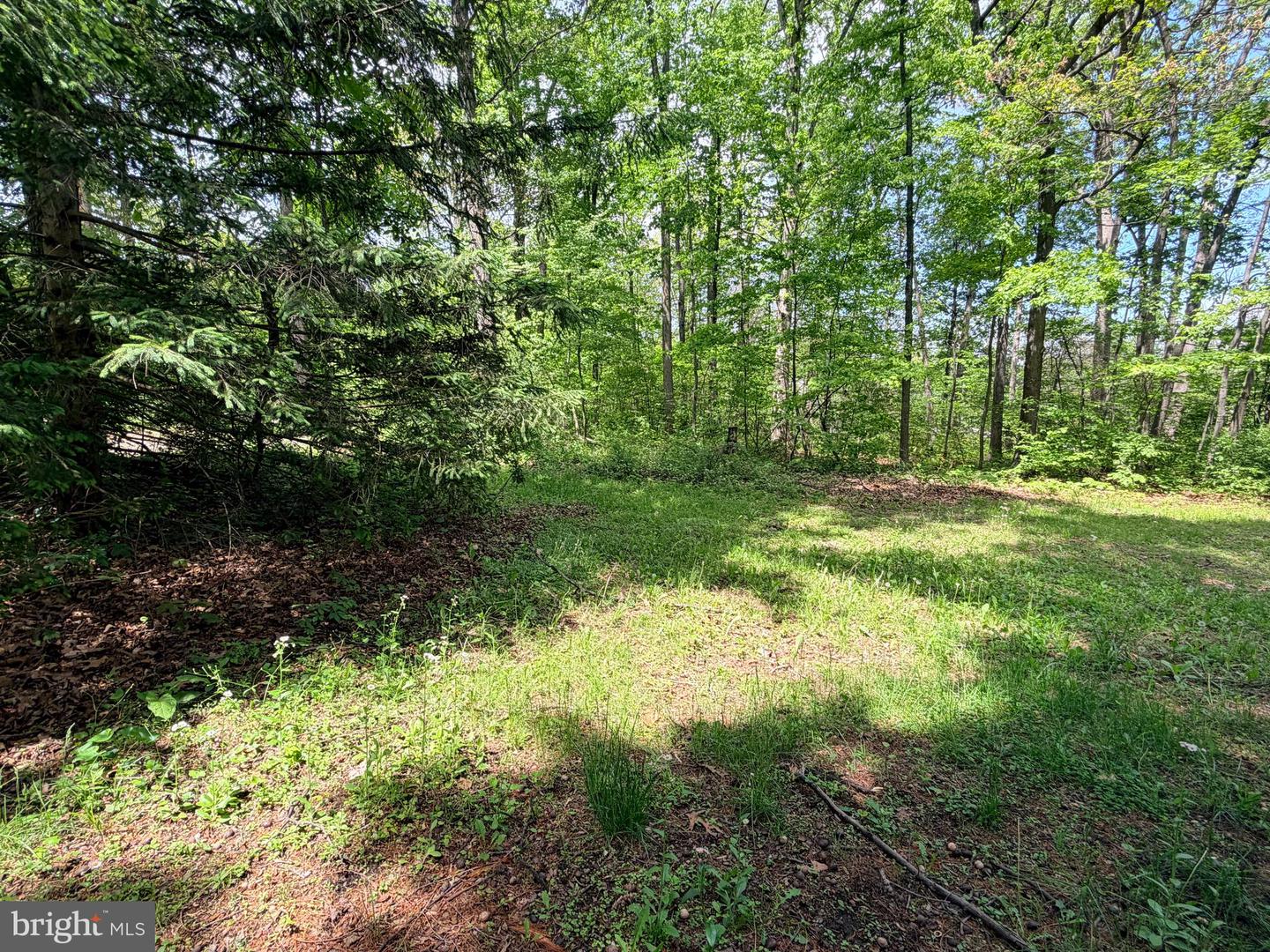 3372 Dogwood Dr Property Photo 17