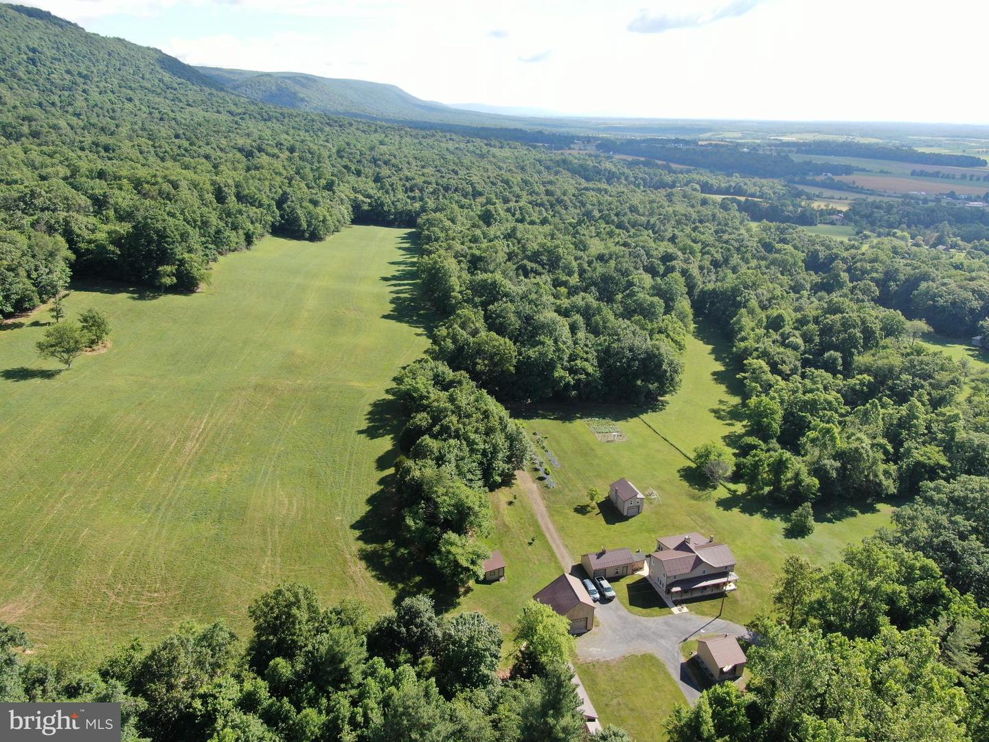 Tract 1: 56+/- Acres At 9611 Circle Drive Property Photo 4