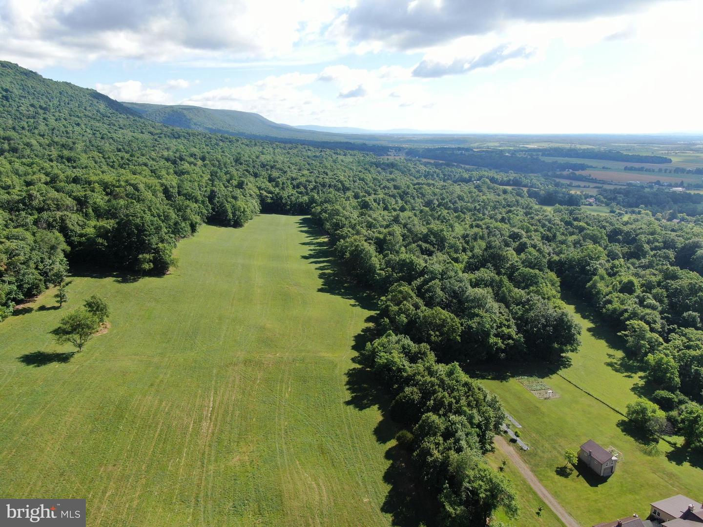 Tract 1: 56+/- Acres At 9611 Circle Drive Property Photo 8