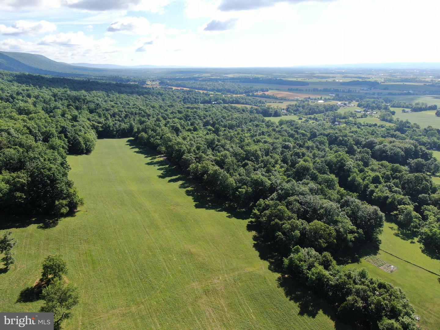 Tract 1: 56+/- Acres At 9611 Circle Drive Property Photo 18