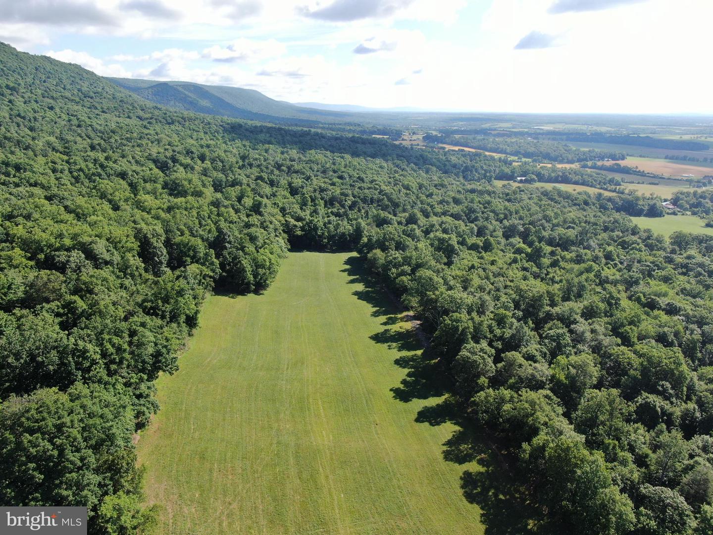 Tract 1: 56+/- Acres At 9611 Circle Drive Property Photo 19