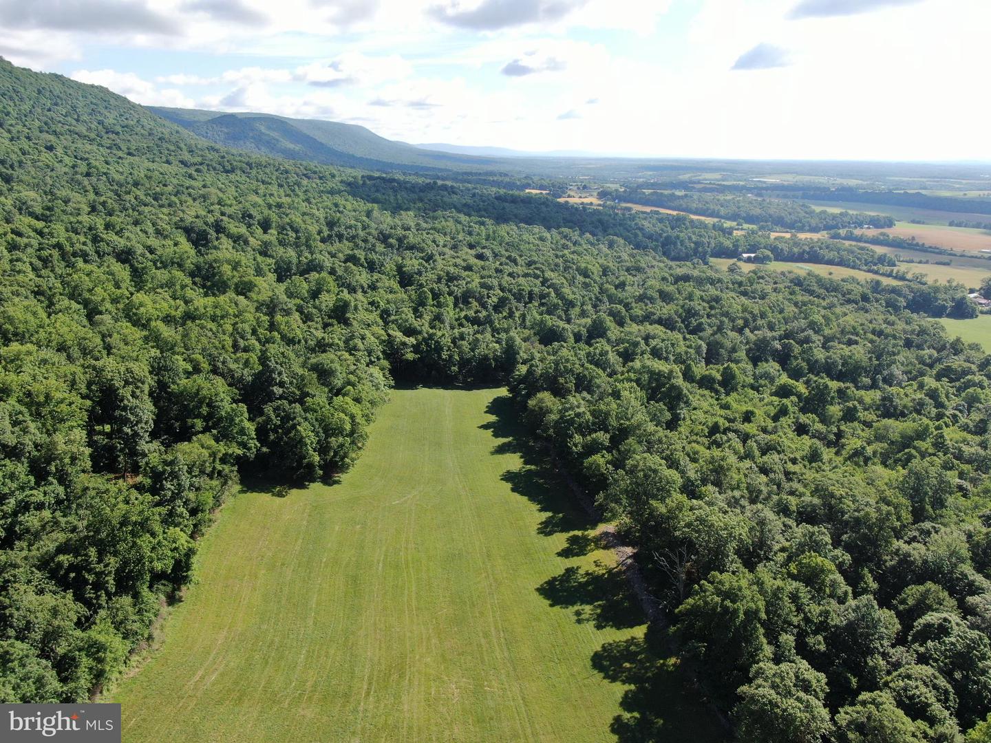 Tract 1: 56+/- Acres At 9611 Circle Drive Property Photo 20