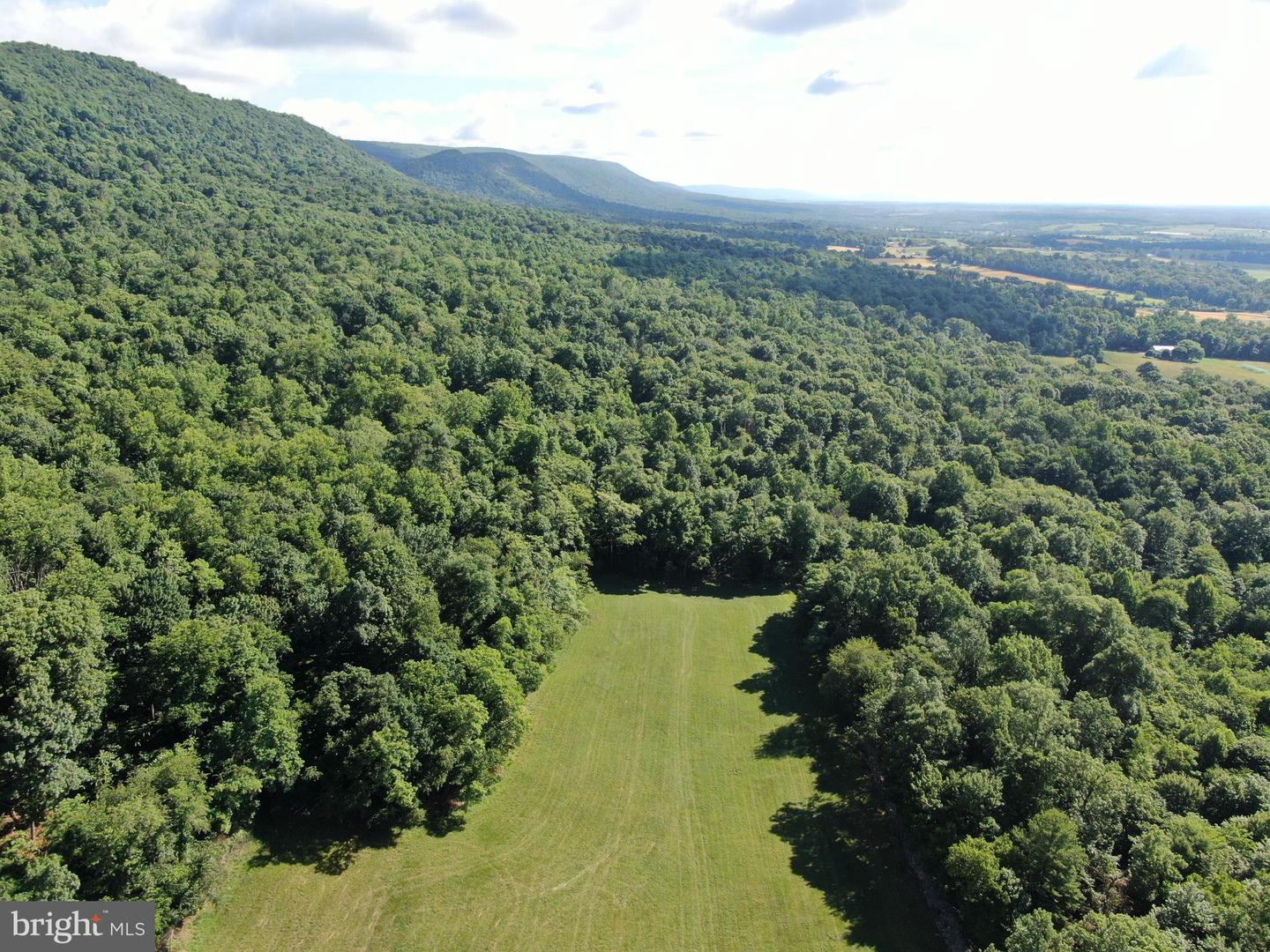 Tract 1: 56+/- Acres At 9611 Circle Drive Property Photo 21
