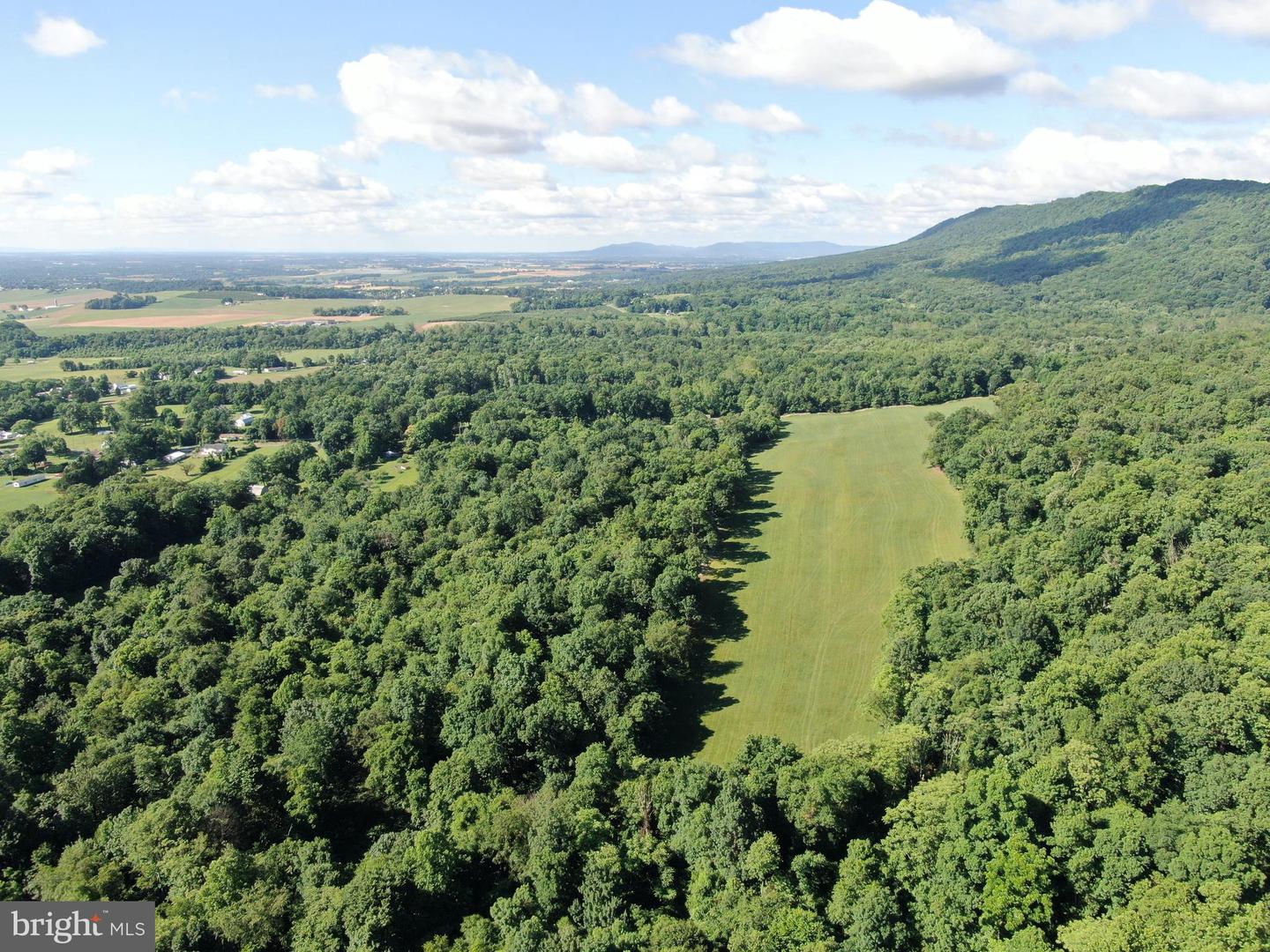 Tract 1: 56+/- Acres At 9611 Circle Drive Property Photo 23