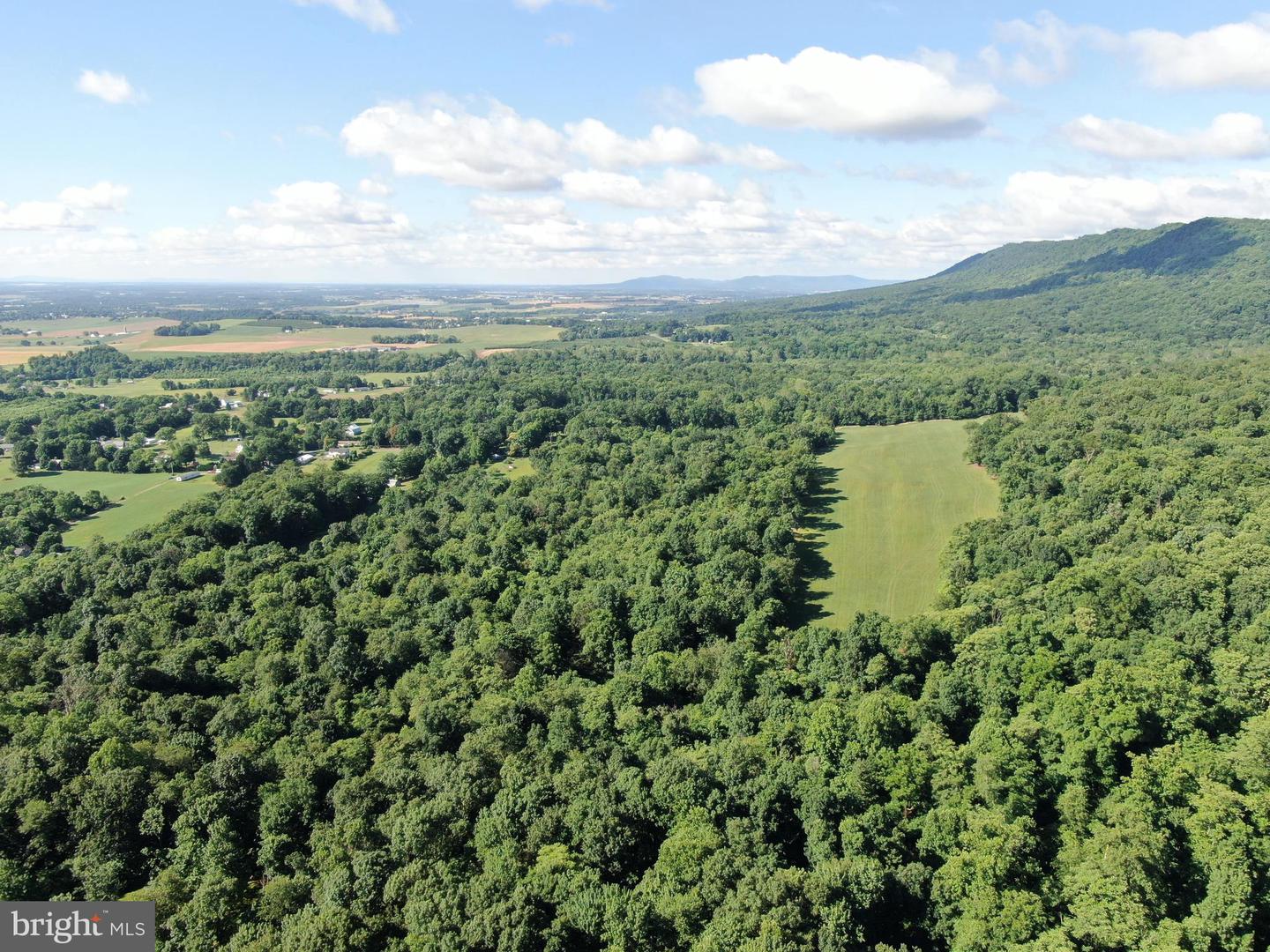 Tract 1: 56+/- Acres At 9611 Circle Drive Property Photo 24