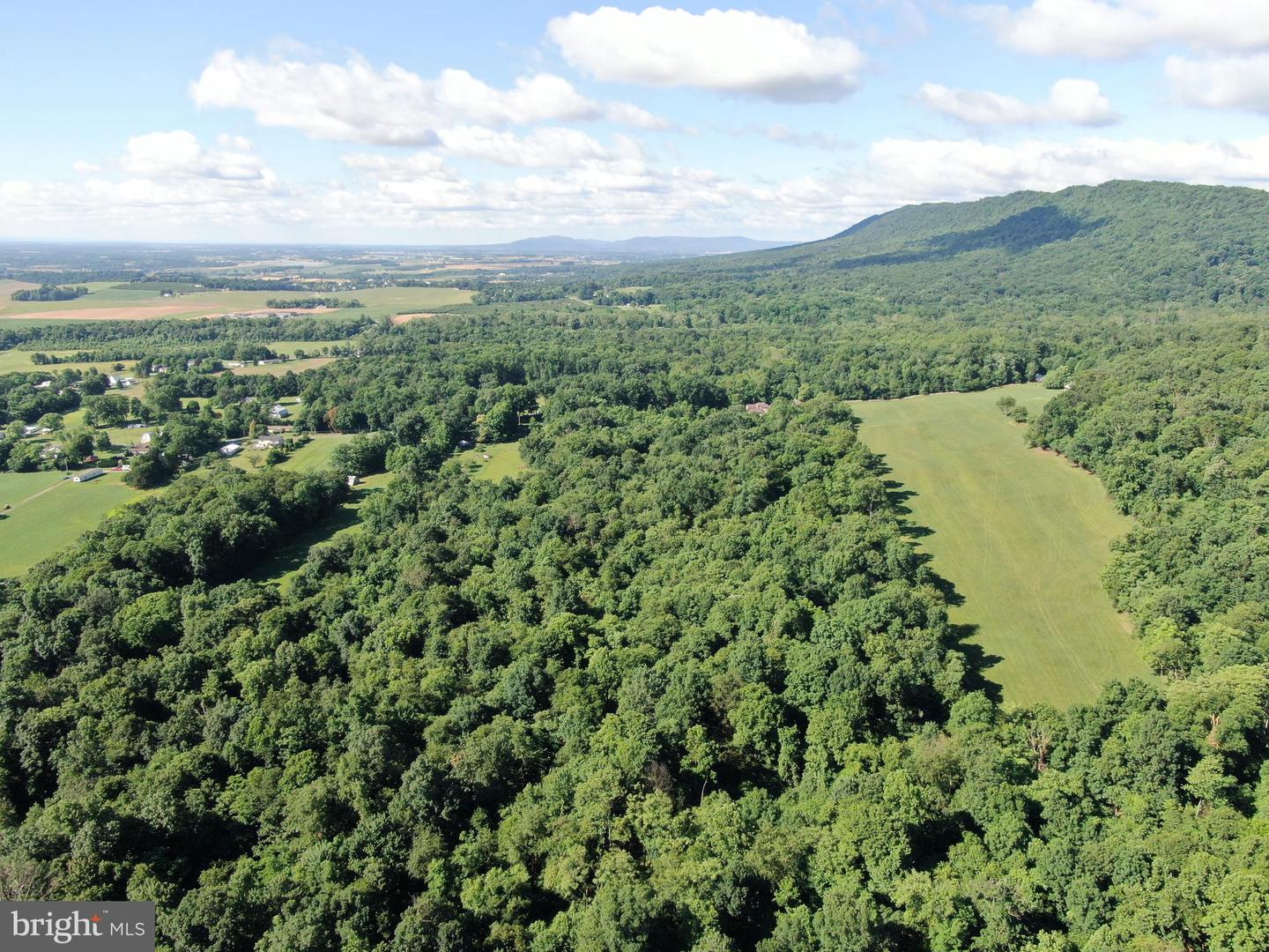 Tract 1: 56+/- Acres At 9611 Circle Drive Property Photo 25