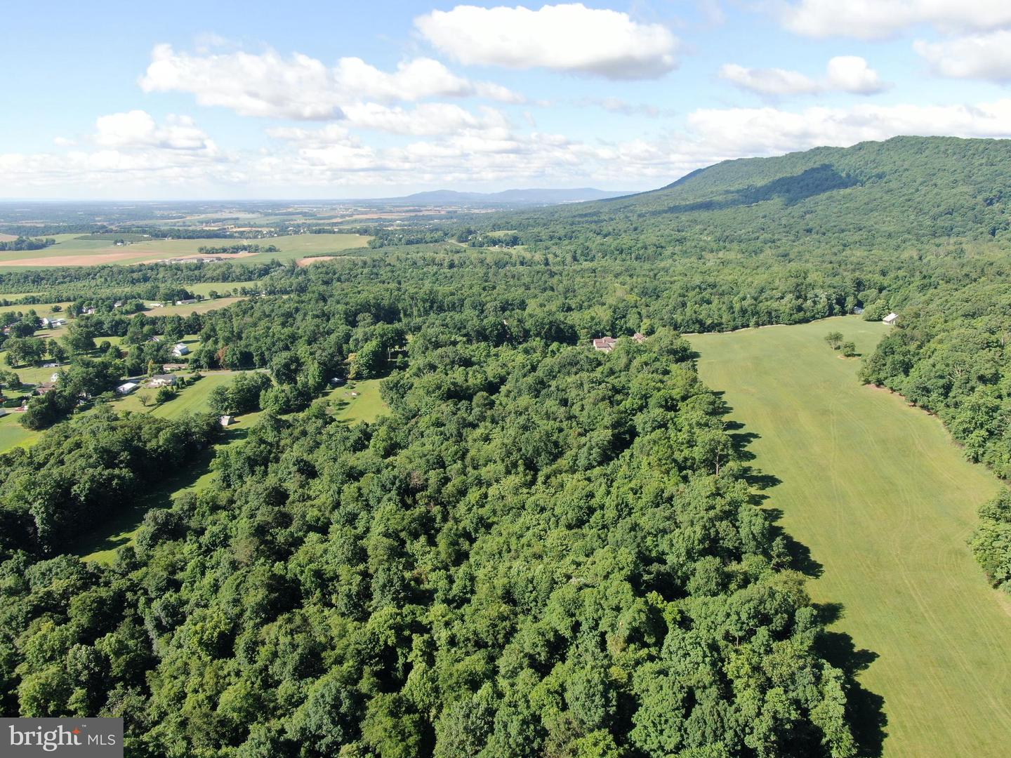 Tract 1: 56+/- Acres At 9611 Circle Drive Property Photo 26