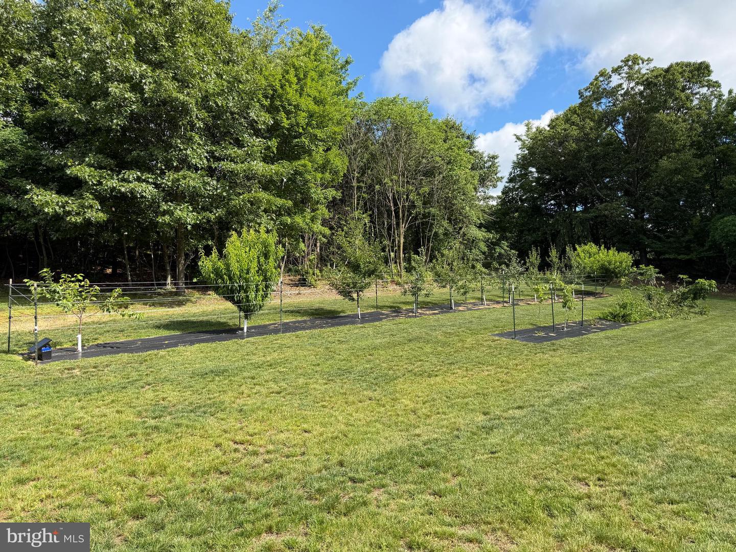 Tract 1: 56+/- Acres At 9611 Circle Drive Property Photo 32